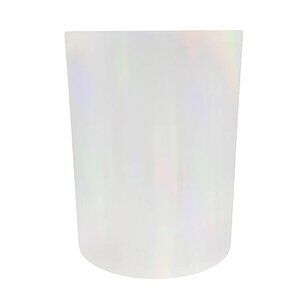 The Big One Plastic Wastebasket Iridescent
